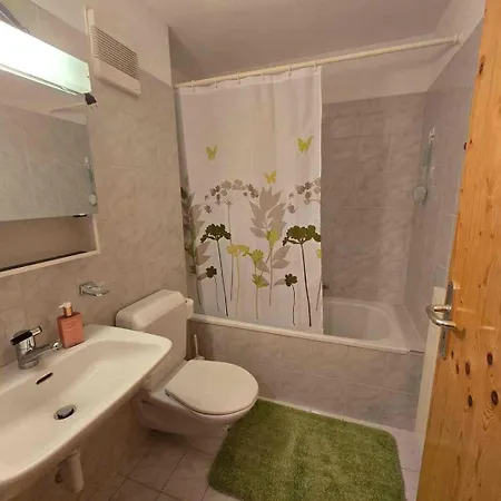 Apartment Elafora Salouf
